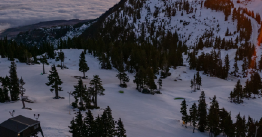 Fresh Snow Feeling! Late January Update