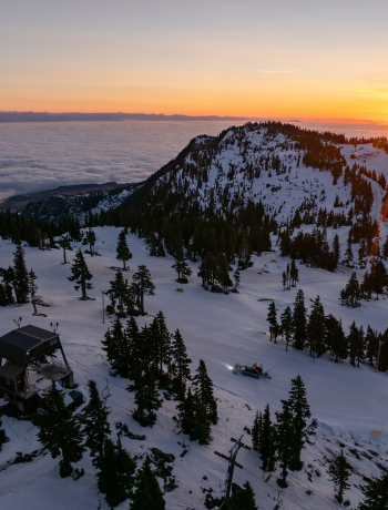 Fresh Snow Feeling! Late January Update