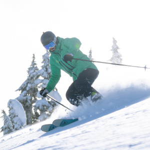 Skiier mid carve