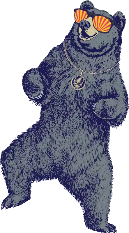Groovy dancing bear