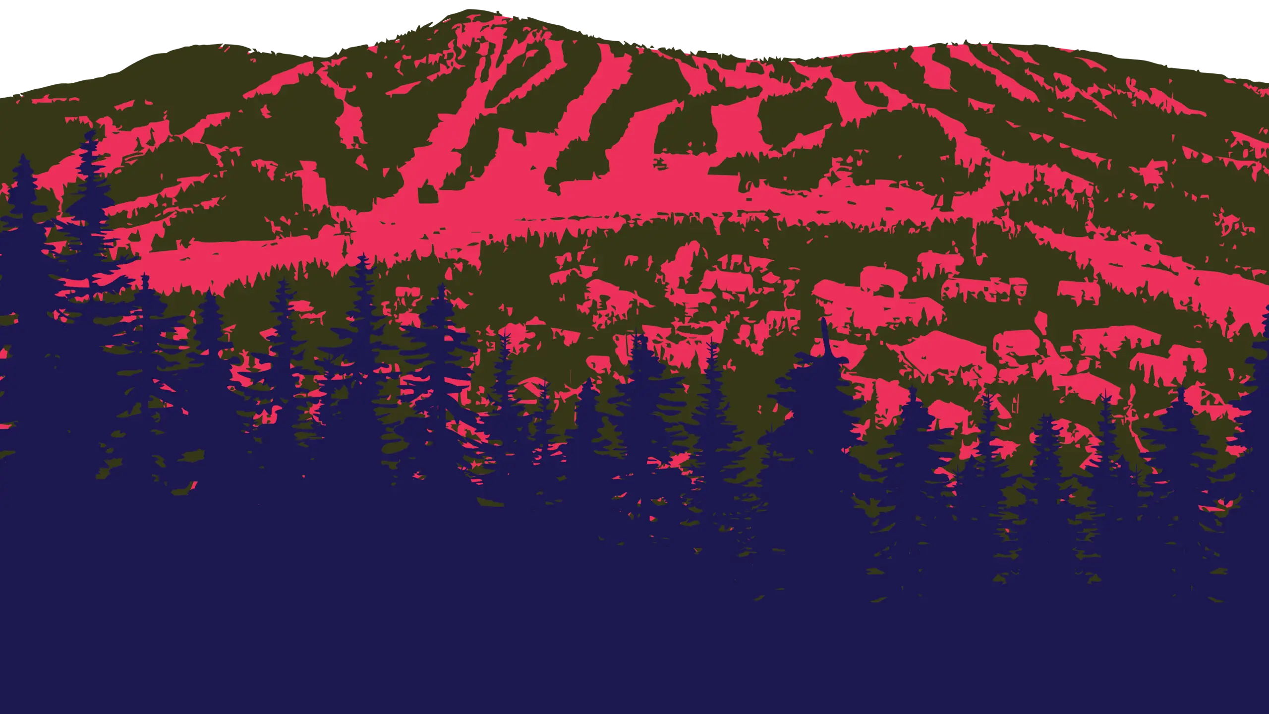 Mount Washington mountain and tree landscape