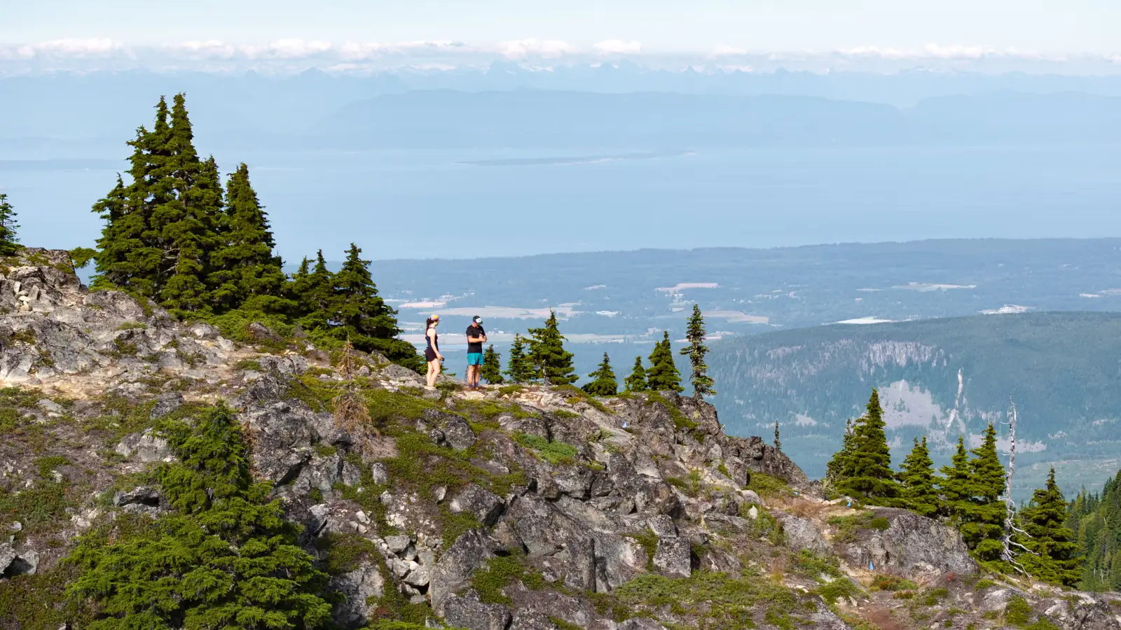 Alpine terrain at Mount Washington in summer