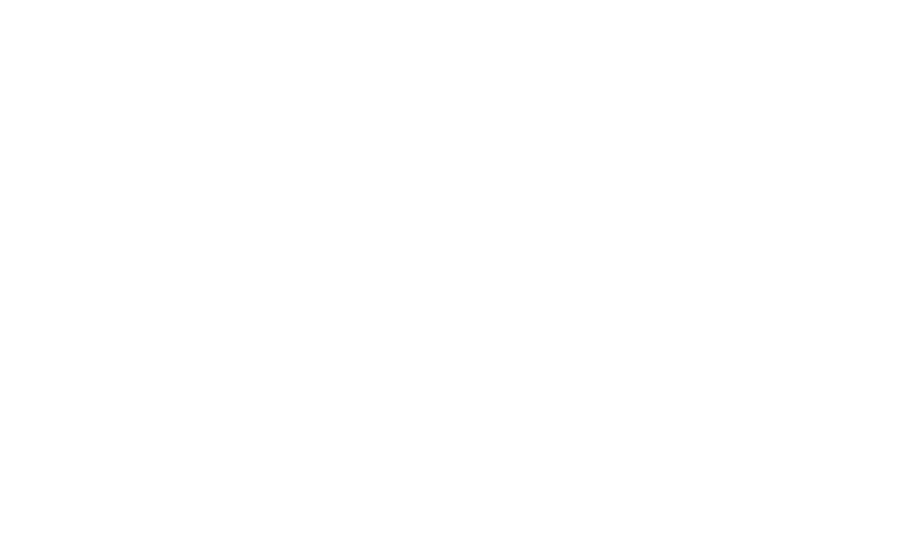 DirtPak