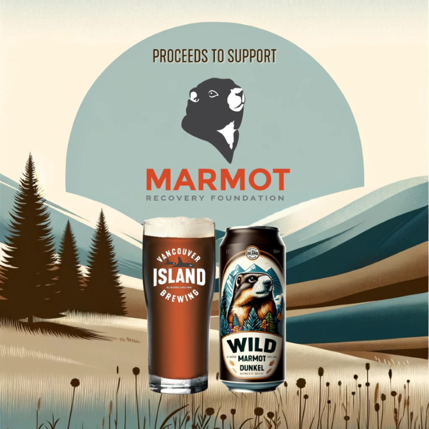 Drink Beer & protect Marmots at Ted's Bar & Grill 