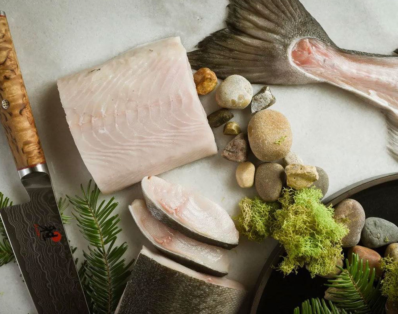 Discover Sablefish – Immerse yourself in our Pacific Deepwaters  MasterClass