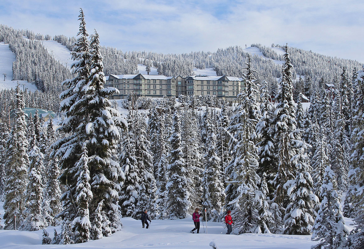 Private Featured Accommodations  at Mount Washington Alpine Resort