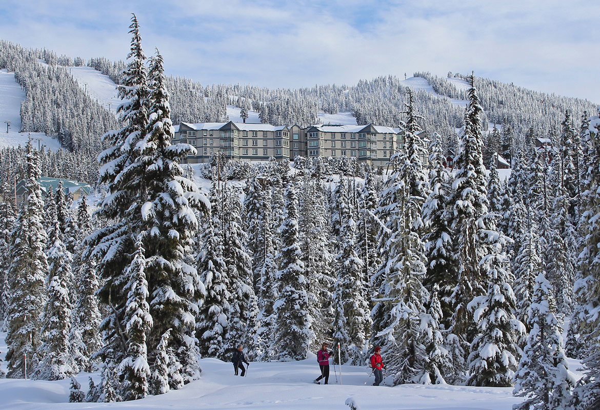 Camping and Parking at Mount Washington