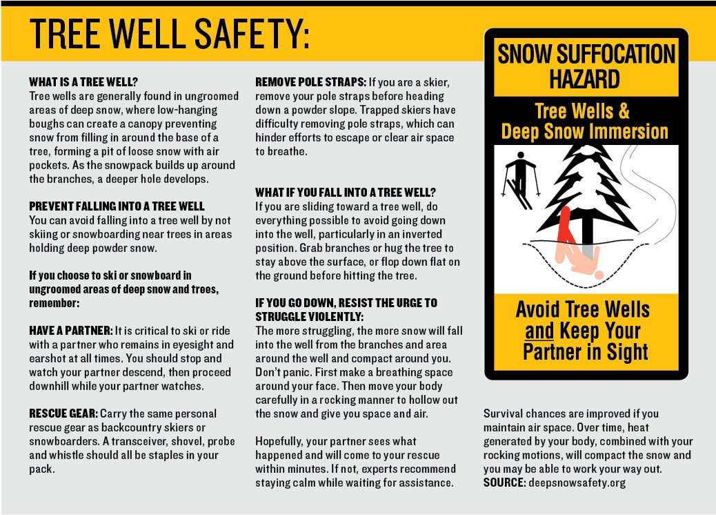 Tree well in deep snow