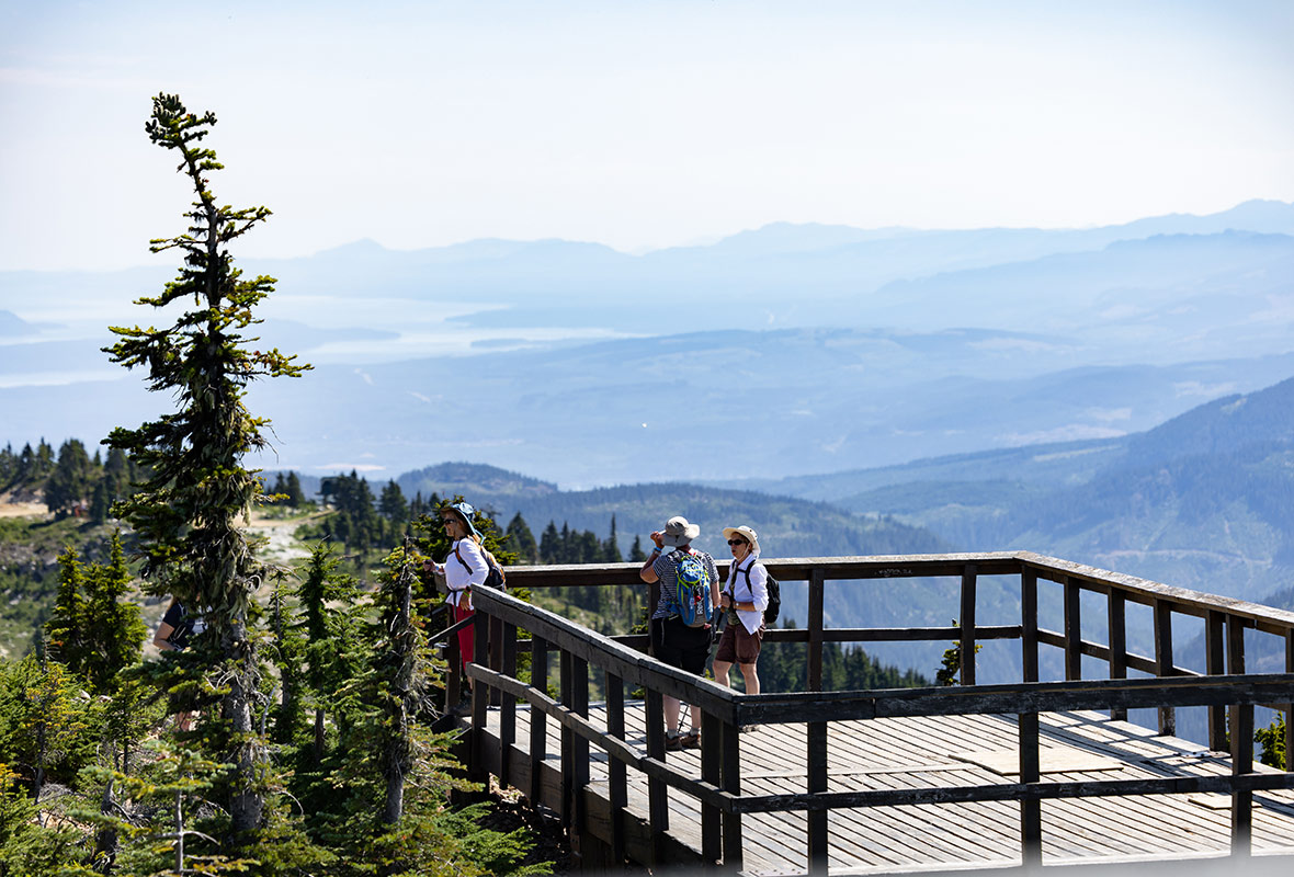 Visitors on a viewpoint boardwalk overlooking the coastal mountains in summer